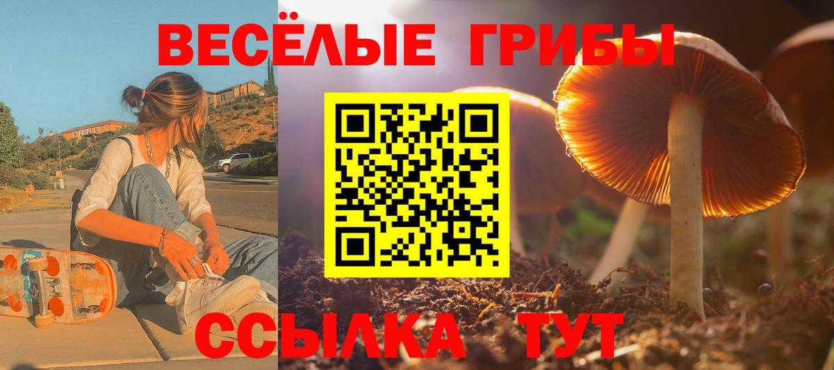 Галлюциногенные грибы мицелий Сосновый Бор